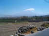 Peru074.jpg (24711 bytes)